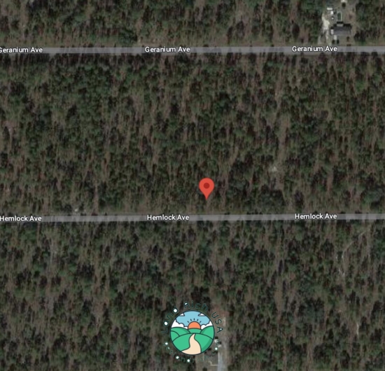 1 acre lot in Dunnellon, FL