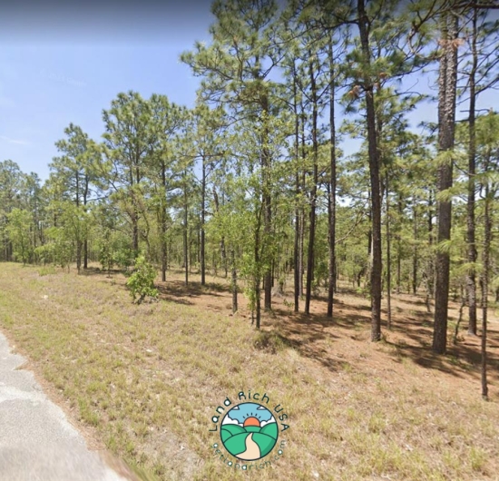 1 acre lot in Dunnellon, FL