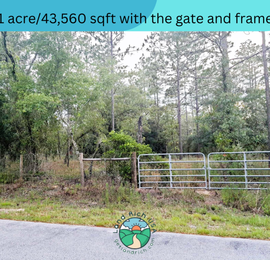 Huge lot in Dunnellon,  FL, 34431