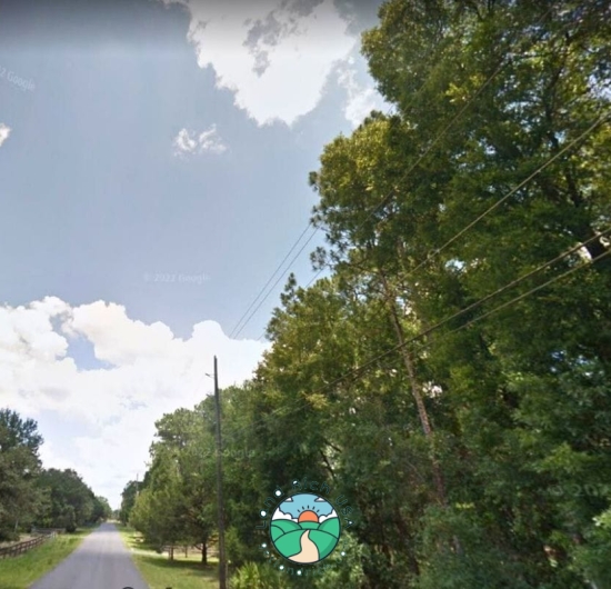 Dunnellon, FL lot for sale 0.29 acre