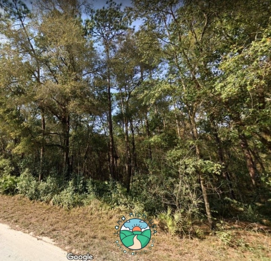 Dunnellon, FL lot for sale 0.29 acre