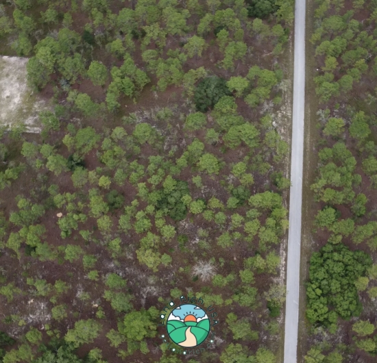 1 acre lot in Dunnellon, FL