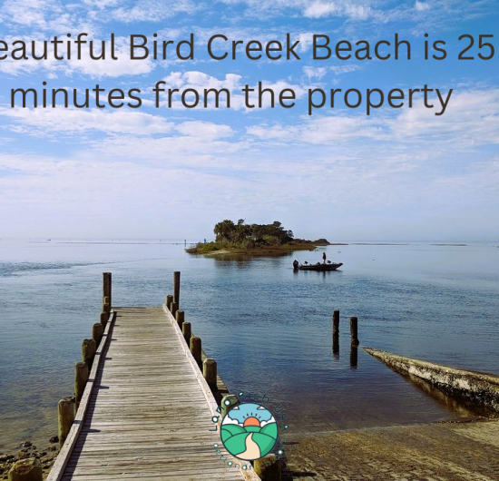 Only 25 minutes from the beach, ready to build lot in Marion County, FL