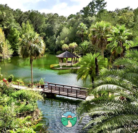 Ready to build lot in Williston, FL