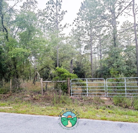 Huge lot in Dunnellon,  FL, 34431